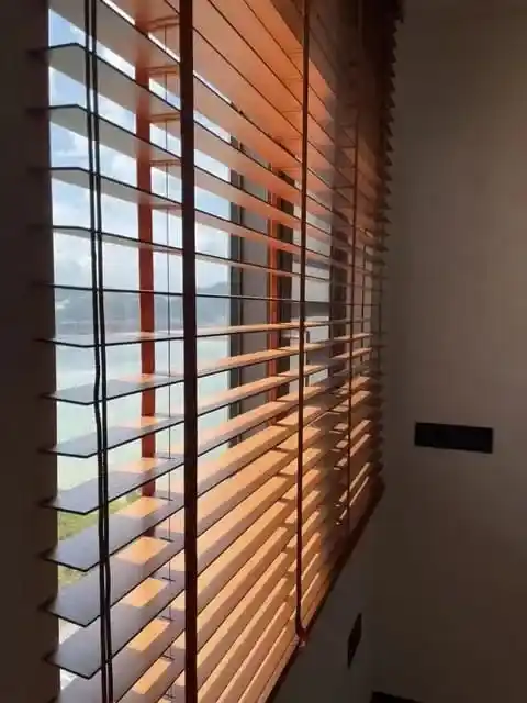 Window Blind / Curtain / Interior Fashion 1